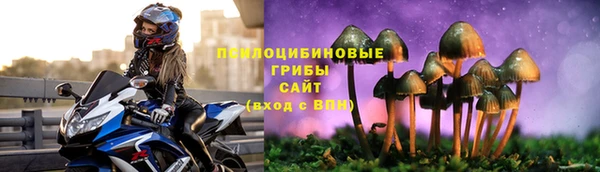 хмурый Михайловка