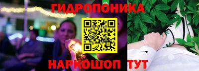 бошки Тара