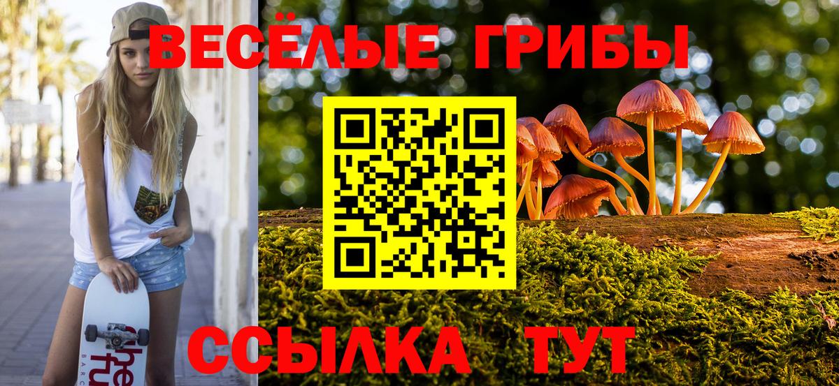 Псилоцибиновые грибы мухоморы Пермь